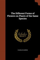 Different Forms of Flowers on Plants of the Same Species