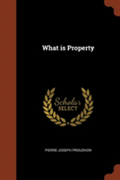 What Is Property