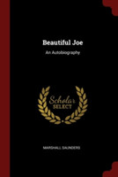 Beautiful Joe