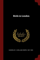 BIRDS IN LONDON