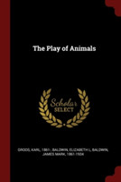 Play of Animals