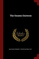 THE UNSEEN UNIVERSE