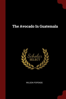 THE AVOCADO IN GUATEMALA