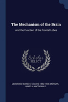 Mechanism of the Brain