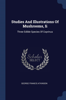 Studies and Illustrations of Mushrooms, II