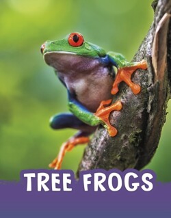 Tree Frogs