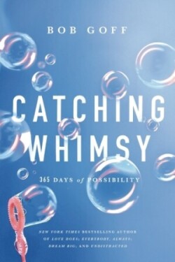 Catching Whimsy