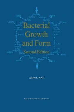 Bacterial Growth and Form