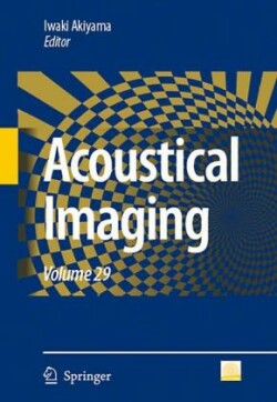 Acoustical Imaging