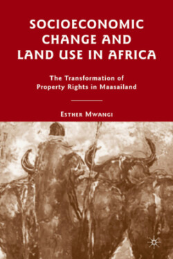 Socioeconomic Change and Land Use in Africa