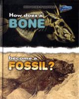 How Does a Bone Become a Fossil?