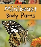 Minibeast Body Parts