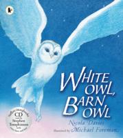 WHITE OWL, BARN OWL