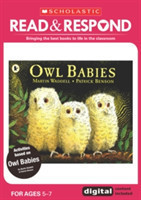 Owl Babies