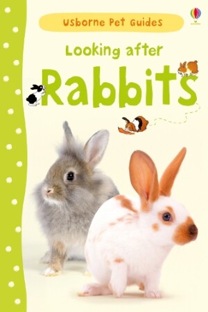 Looking after Rabbits