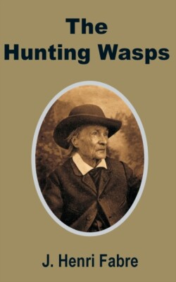 Hunting Wasps