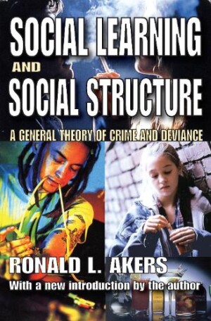 Social Learning and Social Structure