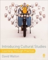 Introducing Cultural Studies