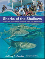 Sharks of the Shallows