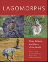 Lagomorphs