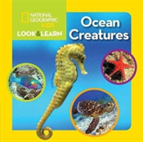 Look and Learn: Ocean Creatures 