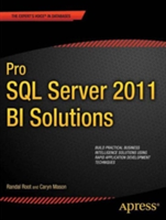 Pro SQL Server 2012 BI Solutions