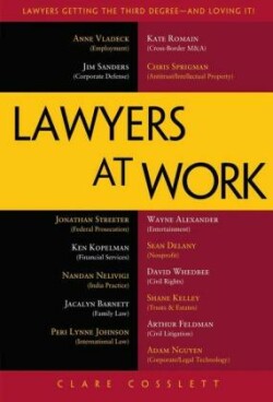 Lawyers at Work