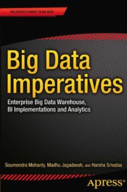 Big Data Imperatives