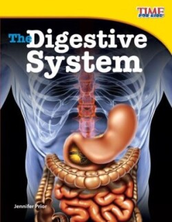 Digestive System