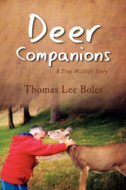 Deer Companions