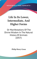 Life In Its Lower, Intermediate, And Higher Forms