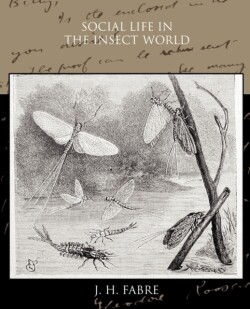 Social Life in the Insect World