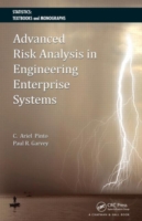 Advanced Risk Analysis in Engineering Enterprise Systems