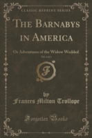 Barnabys in America, Vol. 1 of 3