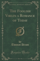 Foolish Virgin a Romance of Today (Classic Reprint)