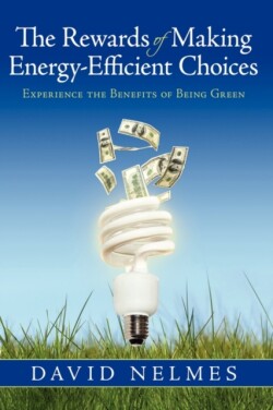 Rewards of Making Energy-Efficient Choices