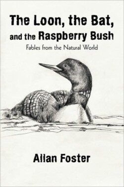 Loon, the Bat, and the Raspberry Bush
