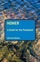 Homer: A Guide for the Perplexed