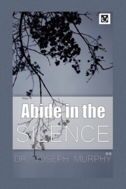 Abide in the Silence