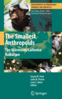 Smallest Anthropoids