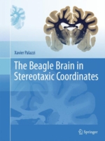 Beagle Brain in Stereotaxic Coordinates