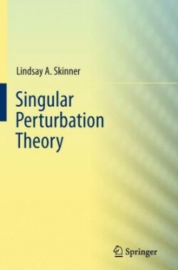 Singular Perturbation Theory