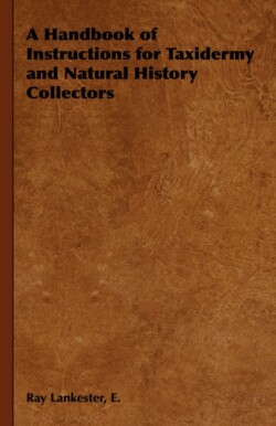 Handbook of Instructions for Taxidermy and Natural History Collectors