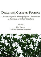 Disasters, Culture, Politics