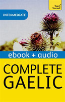 Complete Gaelic Beginner to Intermediate Book and Audio Course Learn to read, write, speak and understand a new language with Teach Yourself