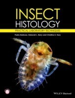 Insect Histology