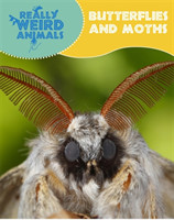 Really Weird Animals: Butterflies and Moths