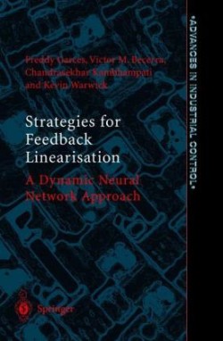 Strategies for Feedback Linearisation