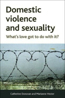 Domestic Violence and Sexuality