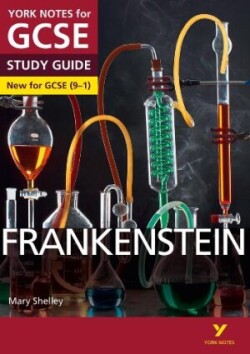 Frankenstein: York Notes for GCSE - everything you need to study and prepare for the 2025 and 2026 exams